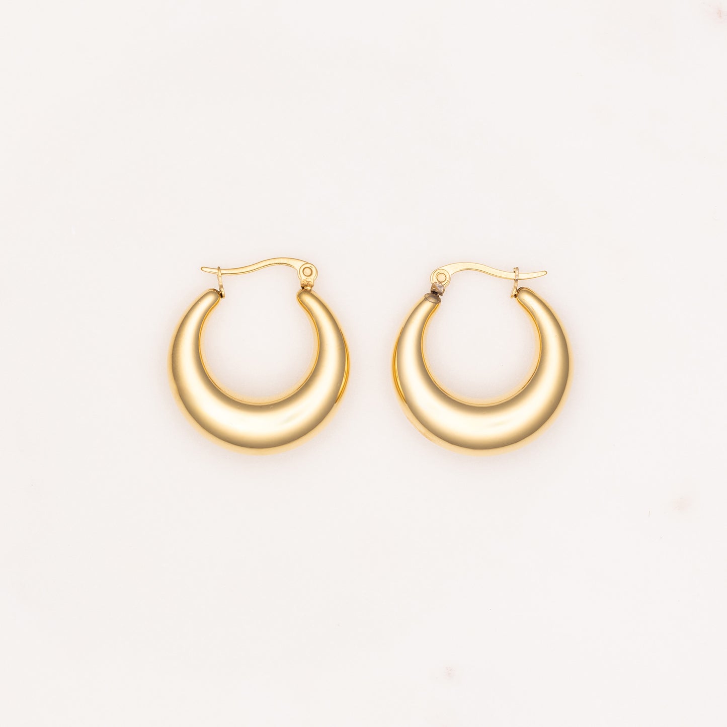 Hoops Era Earrings
