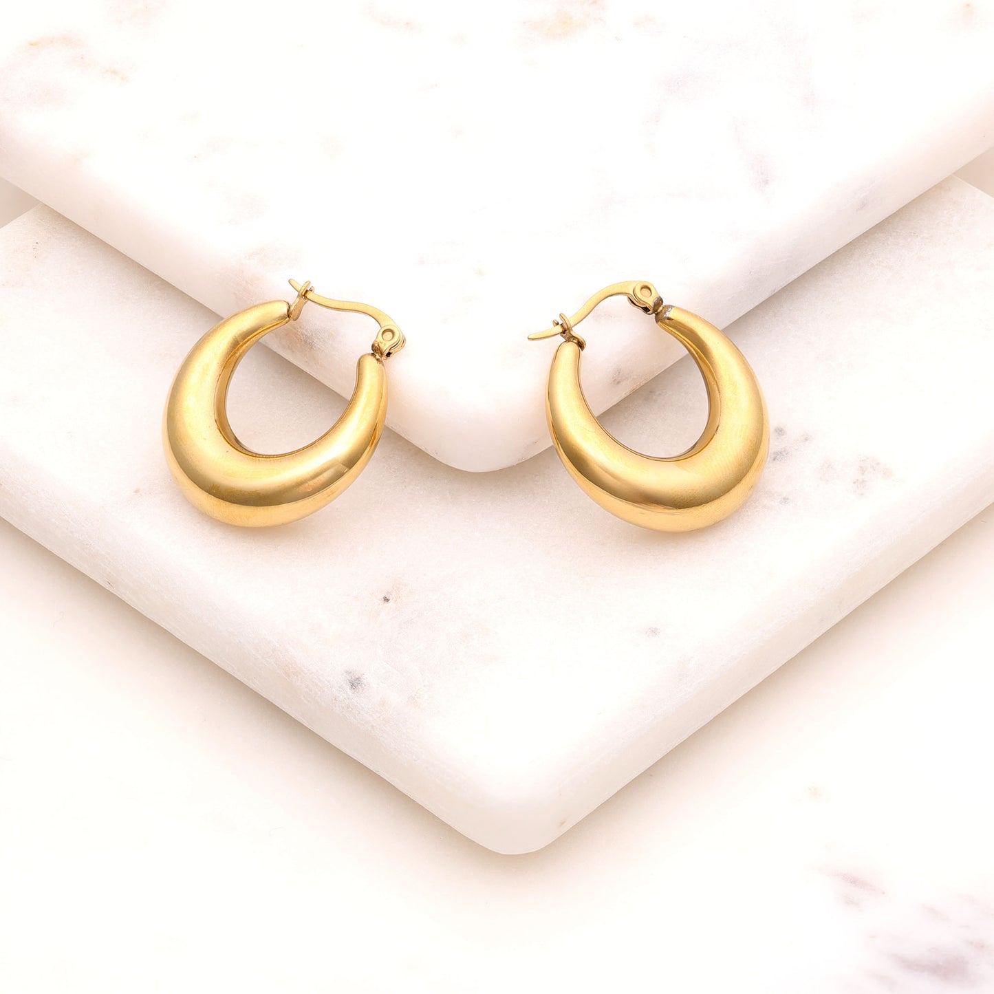 Hoops Era Earrings