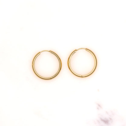 Hoops'22 Earrings